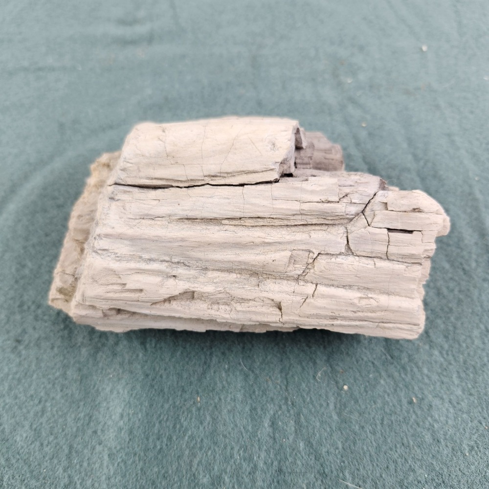Petrified Wood Specimen 6"x3.5"x2.5" - Picture 3 of 8